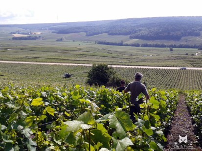 2012-06-19 14.00 web